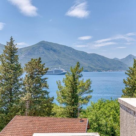 Apartment Elegant Kotor Kültér fotó